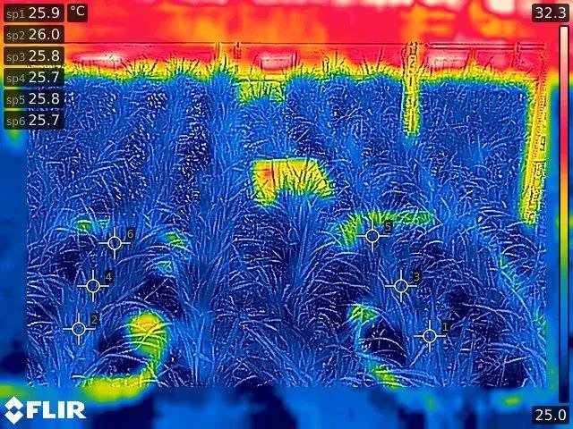 案例分析:FLIR AX8红外热像仪实时监控收集温度数据,助力农业自动化!